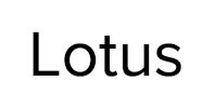Ремонт стиральных машин Lotus в Черноголовке